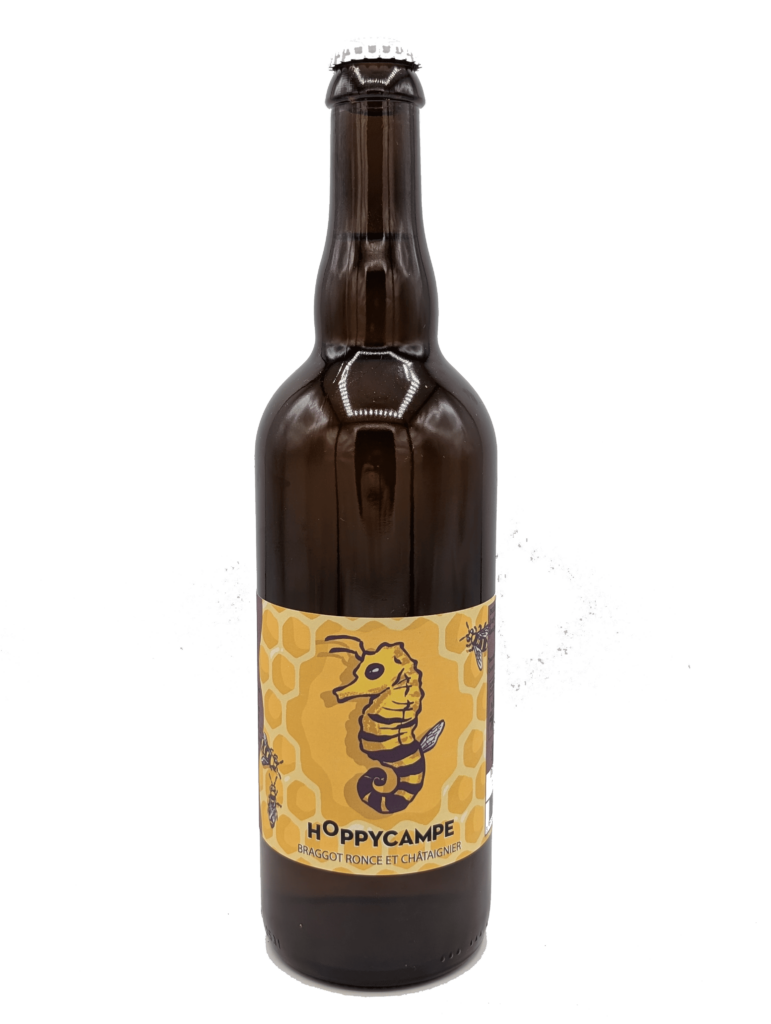 Braggot, bière au miel